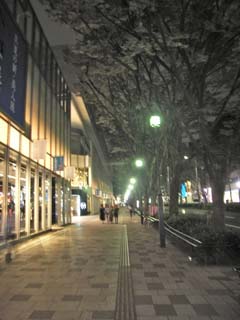omotesandou.jpg