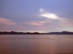 setouchi.jpg